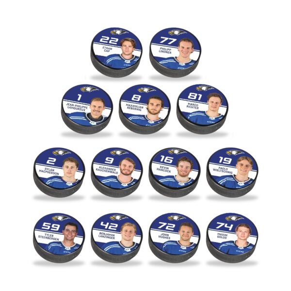 VSV Puck