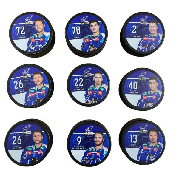 EC iDM VSV Spielerpuck