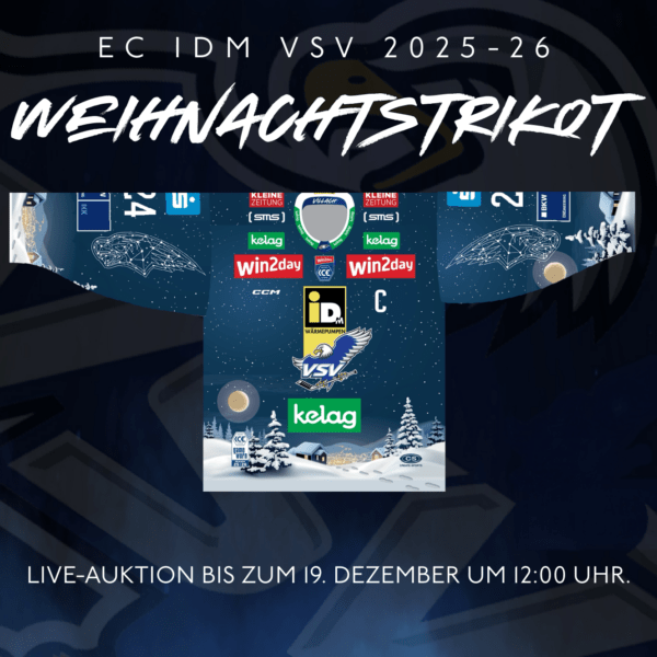 EC iDM VSV Weihnachtstrikot - #95 Mark Katic