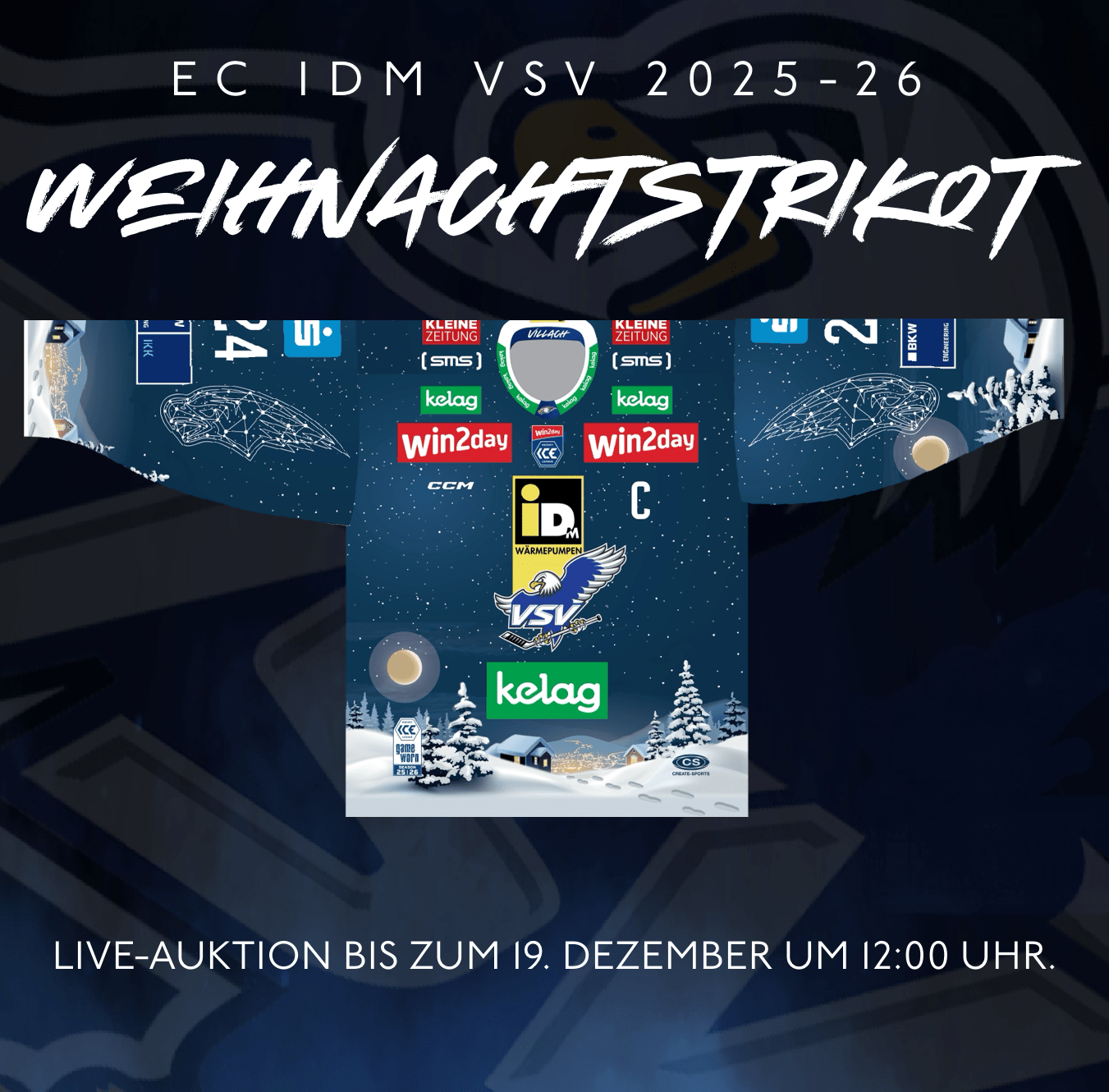 EC iDM VSV Weihnachtstrikot – #9 Alexander Rauchenwald